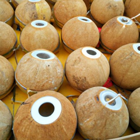 Quality Tropical With Lid On mature coconut for sale Style Pcs Natural Fresh Coconuts Vietnam Coconut Supplier Packing Custom Design OEM