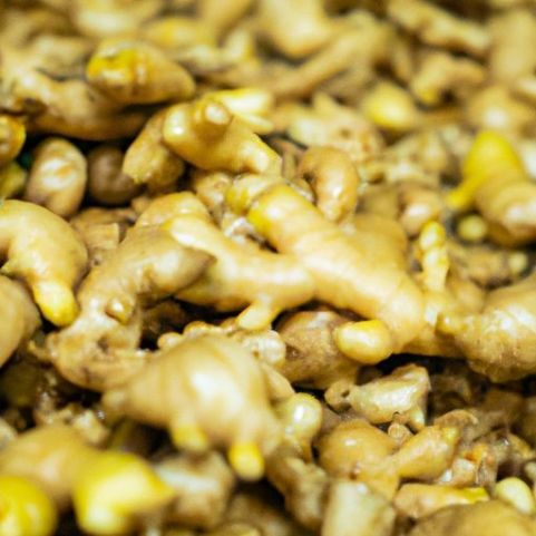 新鮮なバルク工場価格卸売プレミアム品質の輸入生姜をベトナムから輸出する準備ができています。グレードAの高品質生姜/