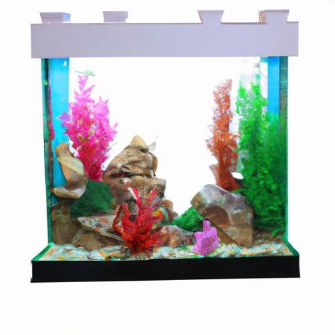 Aquariumachtergrond voor decoraties Klein aquarium whatsapp: +84 Accessoires voor aquariumornamenten