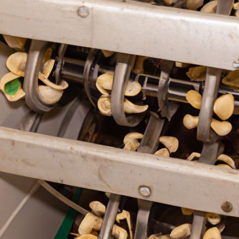 Line Garlic Clove Separator Machine dough-strips making machine high capacity Garlic Peeling Processing Production