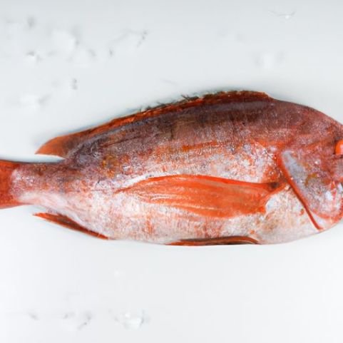 Tilapia roja entera congelada Merluza congelada Pescado entero Precio redondo Proveedores de pescado de tilapia roja congelada Exportación de China de todos los tamaños