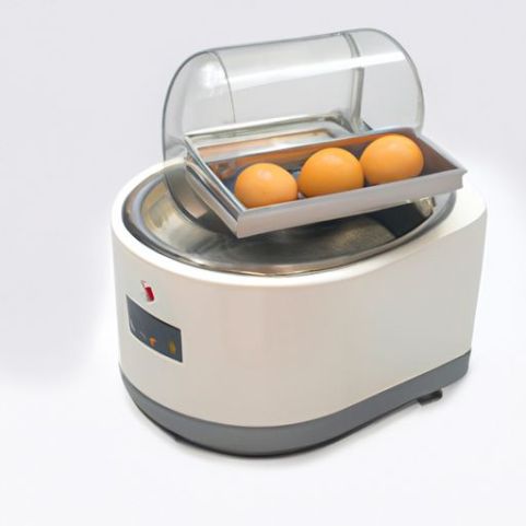 双层电煮蛋器钢制加热板玉米浆蒸快速早餐烹饪机厨房工具多功能煮蛋器