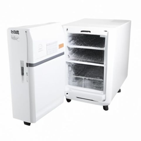 Gefrierschrank mit europäischem Kompressor-Kühlschrank, Mini-Kühlschrank für tragbaren Kühlschrank mit Gefrierfach, Auto-Kühlschrank, DC 12 Volt, 25 l Mini-Auto-Kühlschrank