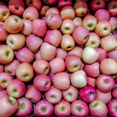 신선한 후지산과 레드스타 사과 사과 및 기타 신선한 과일을 도매가로 판매하는 달콤한 신선한 로얄 갈라 사과