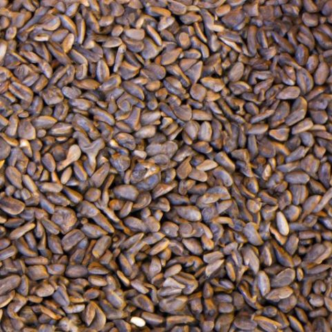 New Crop Year Hulled Sunflower seeds nuts Seed Kernels for sale