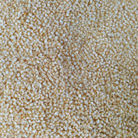 Stock fresco a granel de semillas orgánicas quinua al por mayor quinua blanca granos de quinua blanca grandes Granos para el cuidado de la salud Proveedor mayorista de