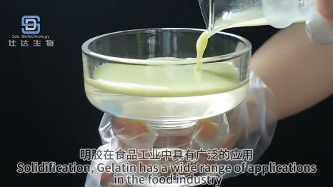 Animal Gelatin Refrigerated Desserts 0 Additives Gelatin Provider
